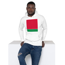 Load image into Gallery viewer, Life of Colours RG Hoodie
